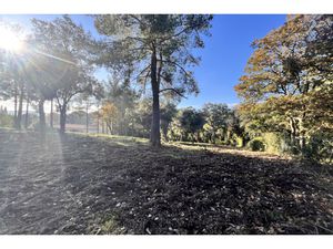 Annonce terrain à vendre