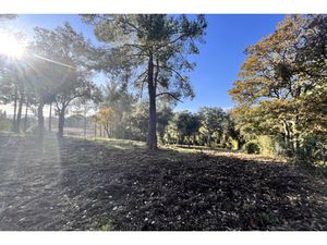 Annonce terrain à vendre