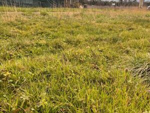 Vente terrain 365 m² La Sauve (33670)