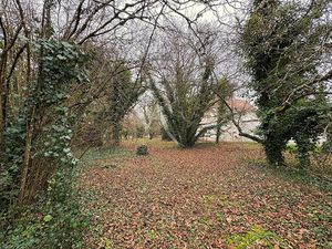 Achat Terrain 1 919m²