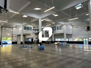 Location Local d'activités Villeneuve D Ascq 59650