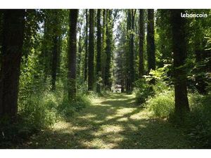 Maison 5 pièces 107 m²