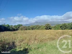 A louer terrain plat 5000 m² à Borgo