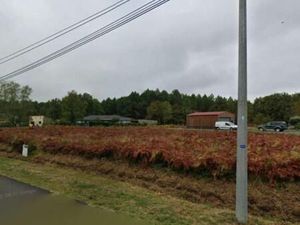 Terrain 307 m² Mios