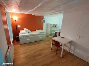 Studio meublé rénové 21m2 hypercentre