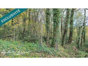 Tarrain de 10 039 m² dont 1 000m² environ de constructible