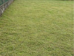 Terrain constructible