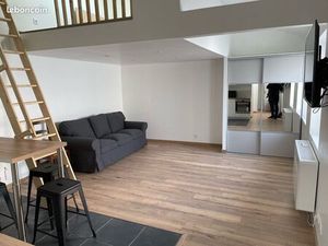 T1 bis mezzanine rénové