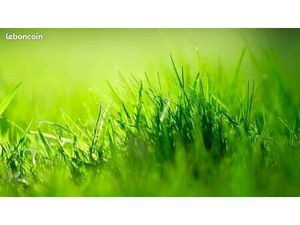 Terrain 558 m² Chalandry Elaire