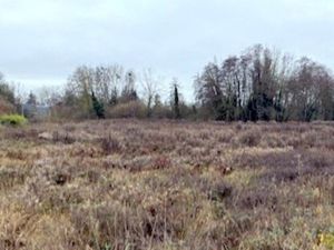 Terrain à vendre de 4 300 m² LES VALLEES DE LA VANNE (89)