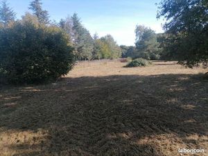 Terrain constructible