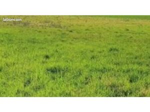 Terrain à louer proche gare et A13