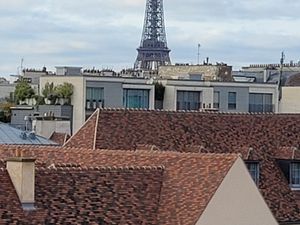 RUE DE SEVRES 28m² VUE TOUR EIFFEL