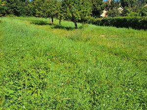 Achat Terrain 1 240m²
