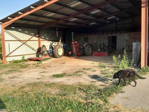 Hangar sur 4 5 hectare