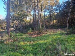 Forêt 3 658 m² Saint Sauveur