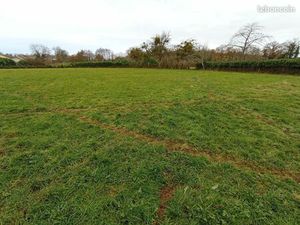 Terrain 3 608 m² Le Mayet De Montagne