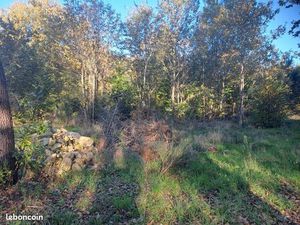 Terrain 1 080 m² Saint Sauveur