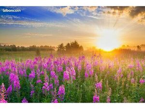 Terrain 2 500 m² Nouvion Sur Meuse