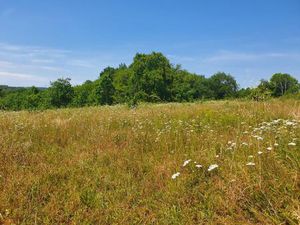 Terrain à bâtir à Abzac (33230)