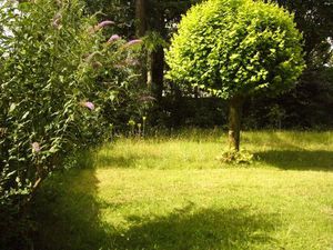 Location appartement 1 pièce 24 m² à Nantes (44000)