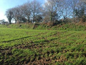 Vente Terrain à Guipavas (29490) : à vendre / Guipavas