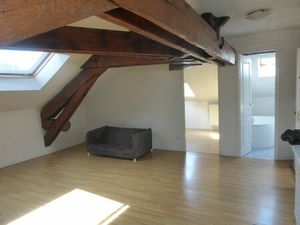 Location appartement 3 pièces 49 m² à Écully (69130)
