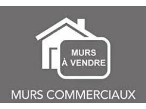 Vierzon Forges - Murs commerciaux 460 M² - Avec locataires loués