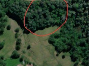 Parcelle de bois 1240 m2