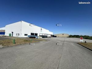 Local industriel 9 732 m²