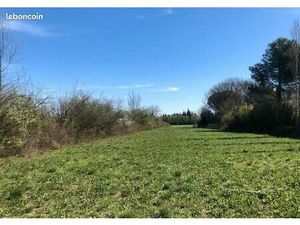 Terrain 1 050 m² Saint Maximin La Sainte Baume