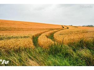 Terrain 12691 m² PLEDRAN