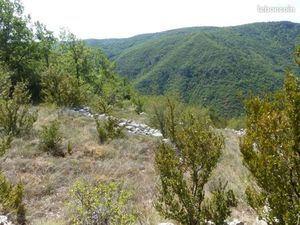 Vente terrain loisirs La Roque Sainte-Marguerite (Vallée de la Dourbie)