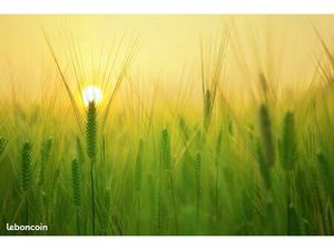 Terrain 1 249 m² Damouzy