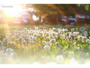 Terrain 800 m² Montcy Notre Dame