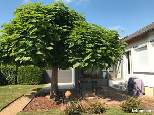 Vente maison très proche centre ville