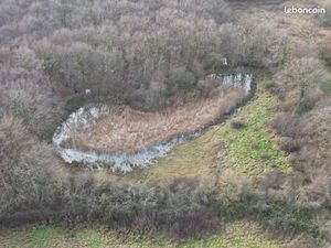 Terrain 13472 m² Lys-Saint-Georges