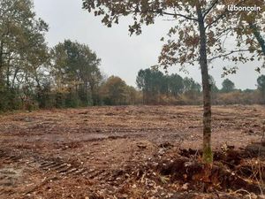 Terrain 1 010 m² Gauriaguet