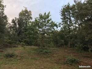 Terrain de loisirs viabilisé 150m de l'océan - Soulac sur Mer / L'Amélie