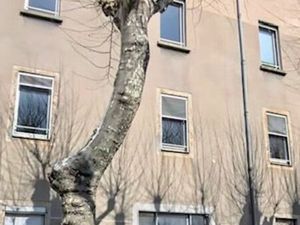 Location IMMEUBLE DE BUREAUX PROFESSIONNELS - 730 m² 12100 MILLAU