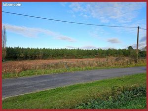 Terrain 4622 m² Gans