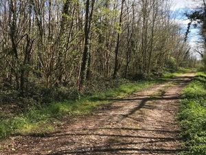 Terrain boisé - 4053 m²