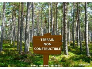 Terrain 5 170 m² Saint Savin