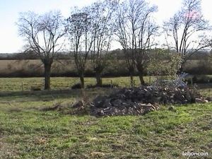 Recherche terrain agricole +- 15 ha périphérie Cholet