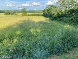 Terrain agricole st Paul sur save