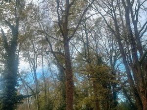 Recherche terrain sur vauchretien ou alentours