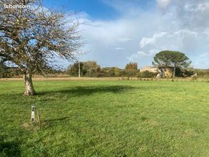 Terrain 1 200 m² Sainte Florence