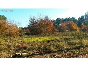 Terrain 493 m² Brach