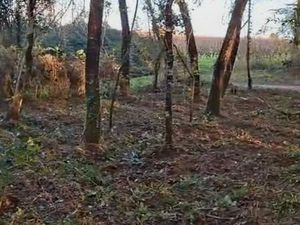 Idéal loisirs ou investissement bois 3000 m bord océan et gironde