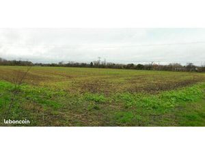 Terrain 452 m² Benouville